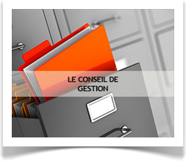 IMAGE CONSEIL DE GESTION